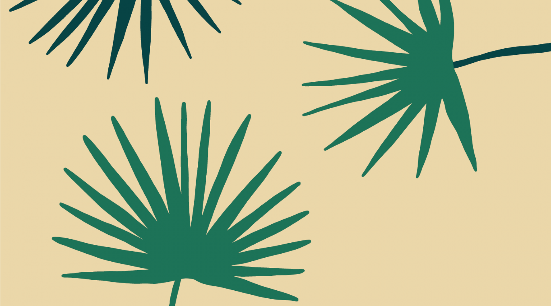 Isnt it Wonderful edited graphic showing the property's accent colors