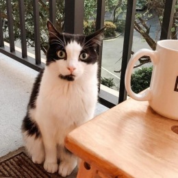 Instagram post from @olmstedsavannah on May 23, 2022 13:45:57pm