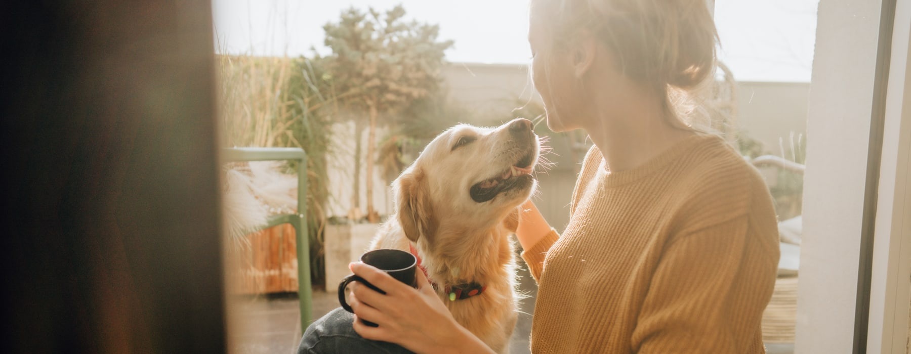 lifestyle image of a woman holding a dog